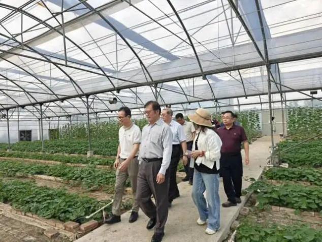 台湾中华城乡形象协会交流团来莞参访交流.20260518docx406 台湾中华城乡形象协会交流团来莞参访交流.20260518docx406