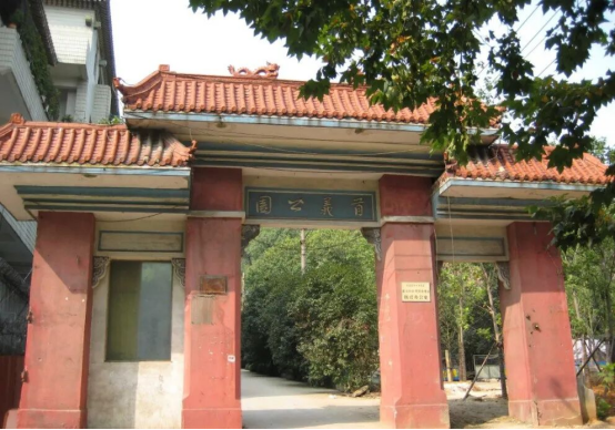 孙中山与武汉·纪念印记（三）丨园林春秋——走进草木深处的百年初心1411