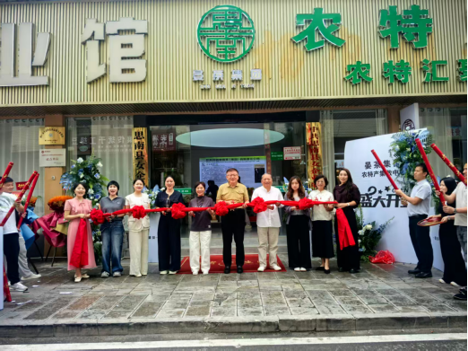 茶韵牵情谊 文旅架桥梁——台商一行探秘铜仁共启合作新篇155