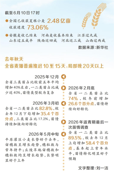 河南要闻26.06.113698